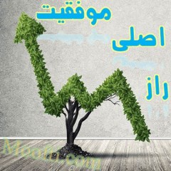 راز اصلی موفقیت